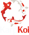 КарпКои - Японский карп купить Челябинск