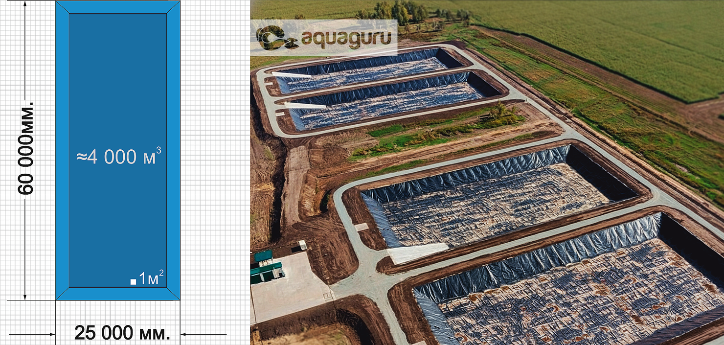 строительство водоёма для разведения рыбы